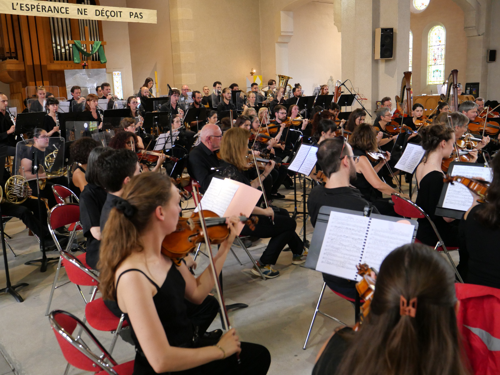 Strauss, une symphonie alpestre, ensemble orchestral de Dijon