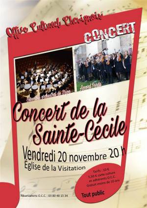 Concert du 20 novembre 2015