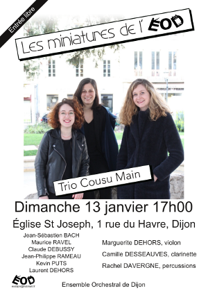 ensemble orchestral de dijon concert 13 janvier2019